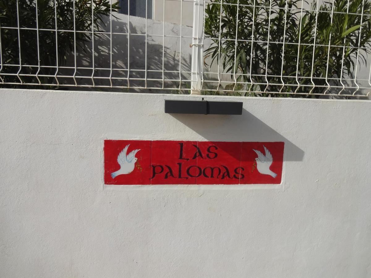 Las Palomas, Appartement 3 Chambres Avec Piscine Turís Eksteriør bilde