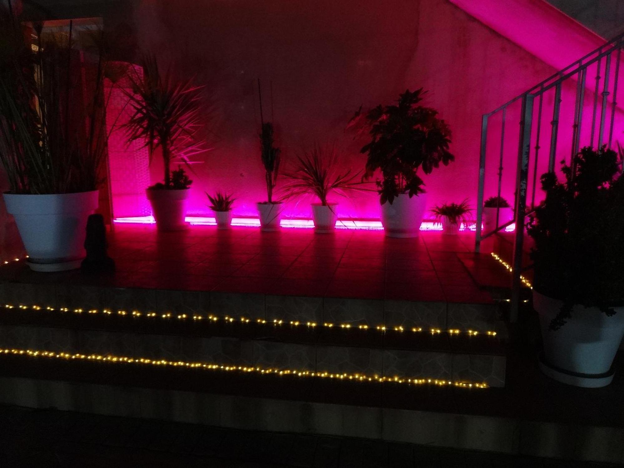 Las Palomas, Appartement 3 Chambres Avec Piscine Turís Eksteriør bilde